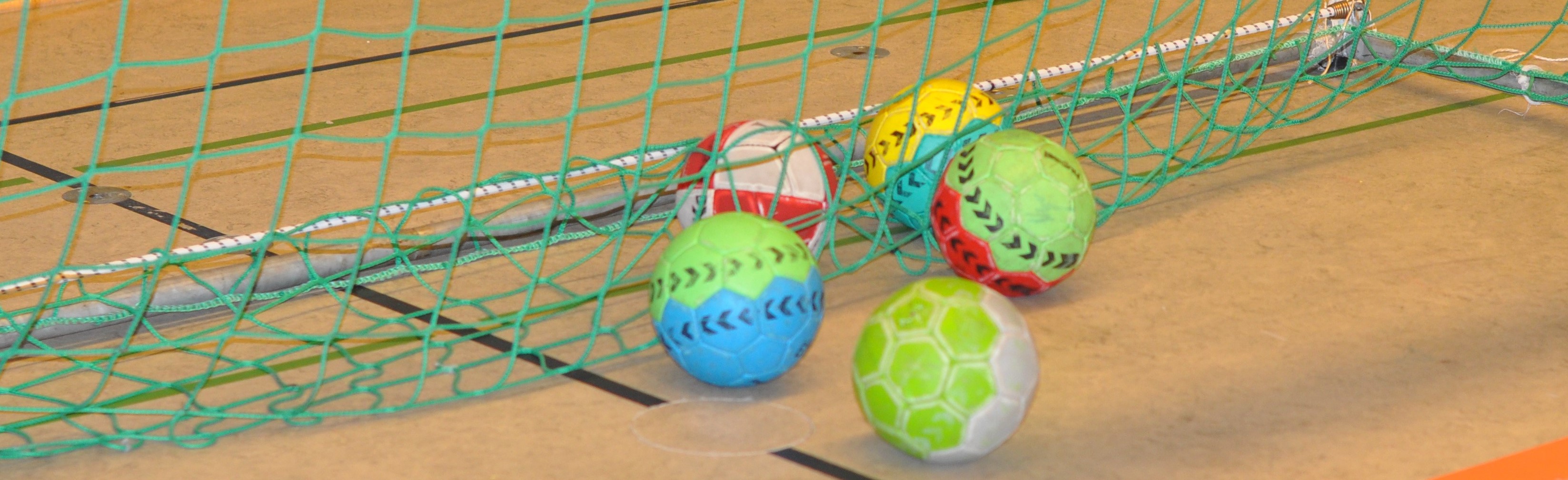 Handball Motiv2 SL