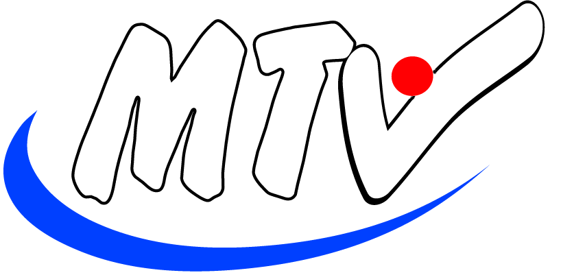MTV_Logo_Transparent.png